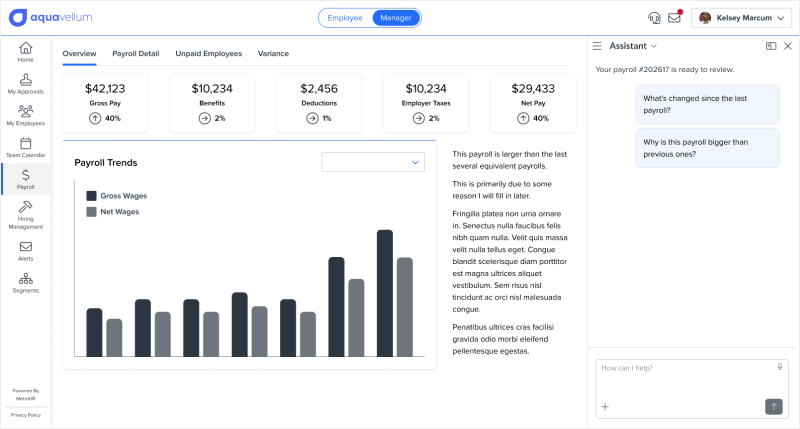 Payroll audit wireframe showing agentic chat on the right and an audit analysis workspace in the middle